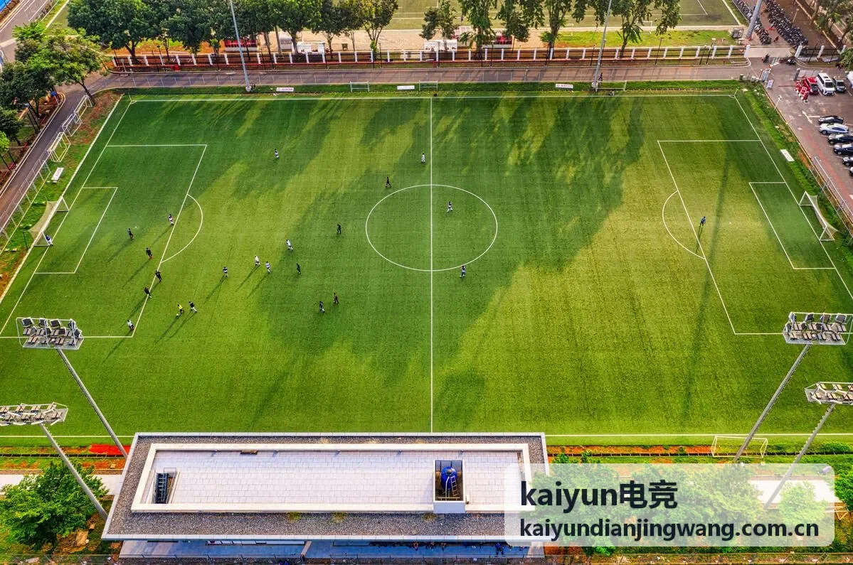 kaiyun电竞训练辅助工具